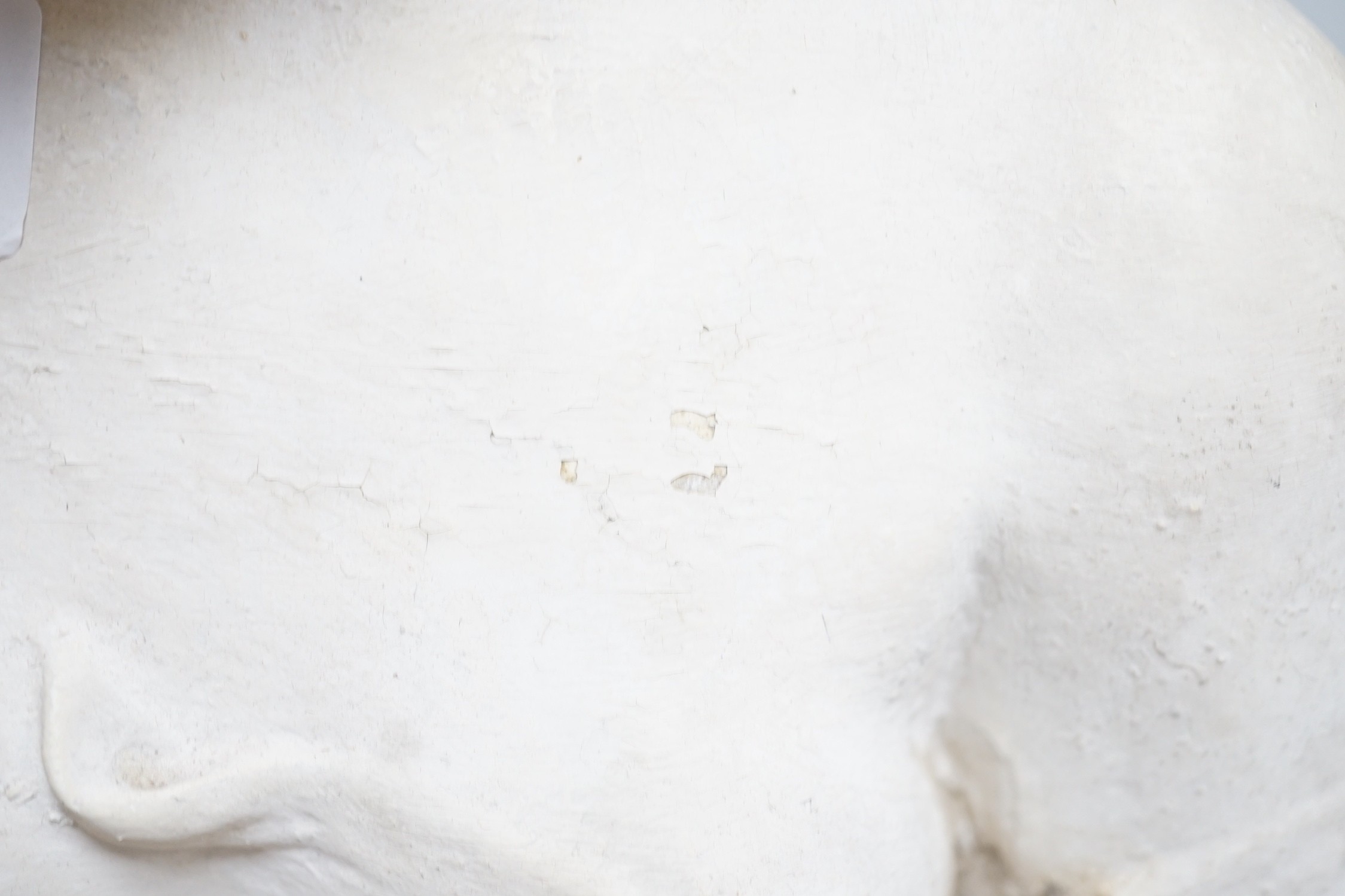 A small 19th century cast plaster bust of Clytie, 35cm